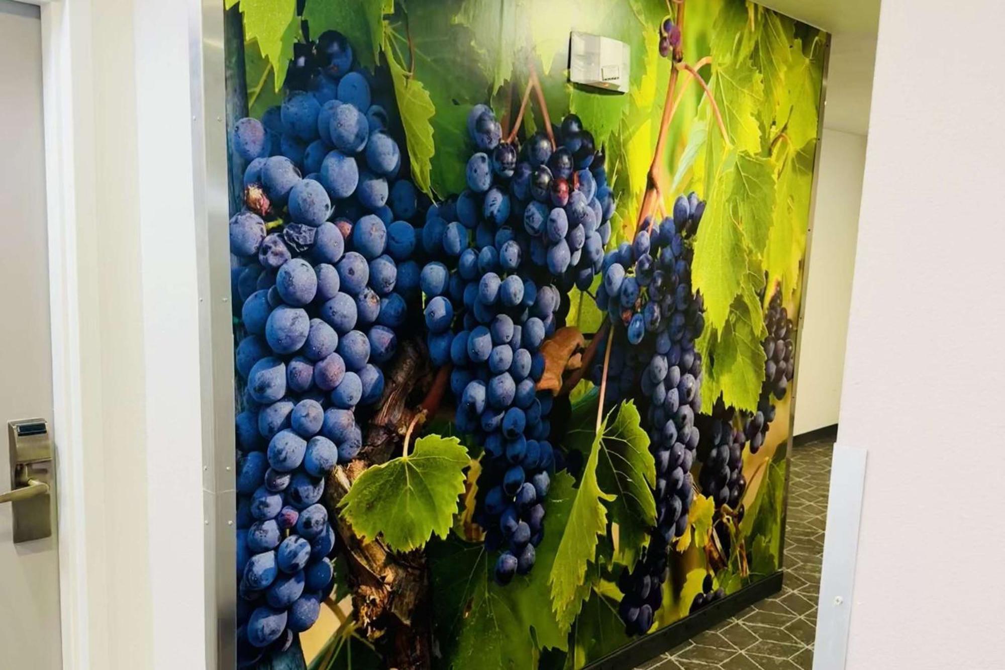 Hotel Clarion Pointe Albemarle Zewnętrze zdjęcie